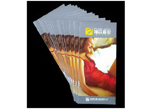 北京福和嘉业家具公司 画册设计